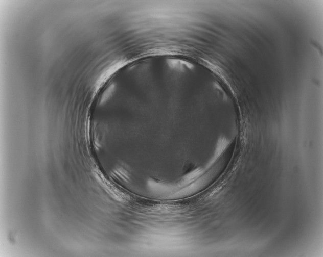 X0000102511179200808291727