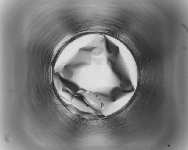 X0000102511180200808291727