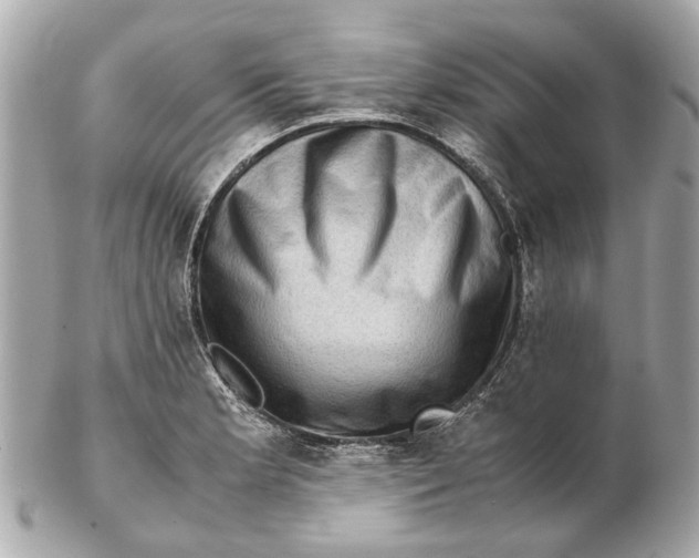 X0000102511181200808291727