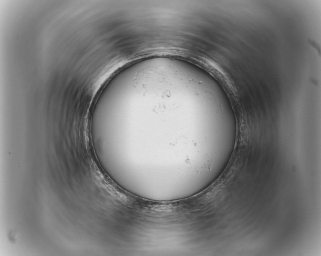 X0000102511182200808291727