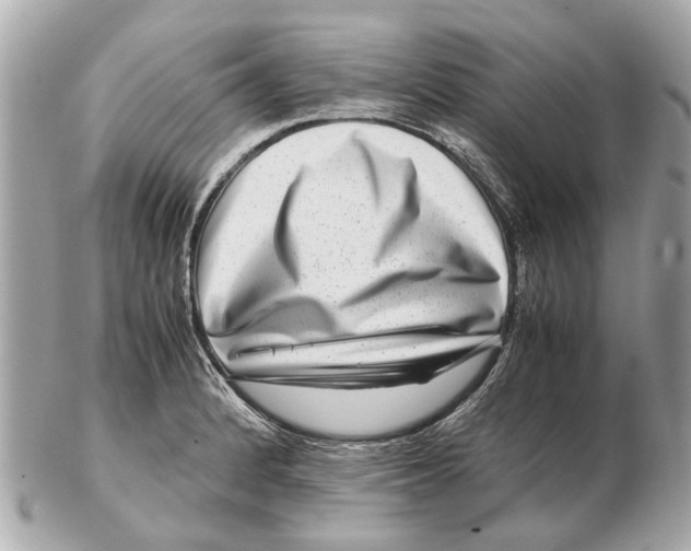 X0000102511184200808291727