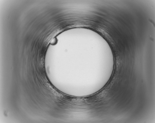 X0000102511185200808291727