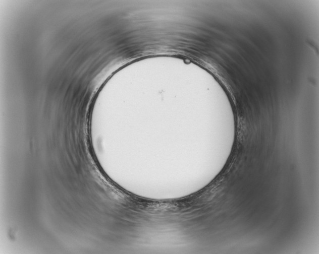 X0000102511187200808291727