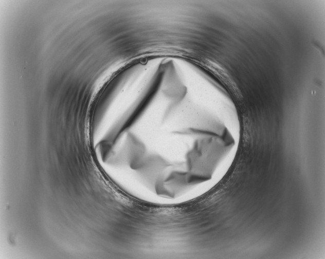 X0000102511188200808291727