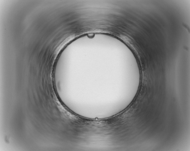 X0000102511189200808291727