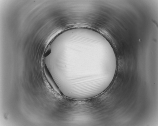 X0000102511190200808291727