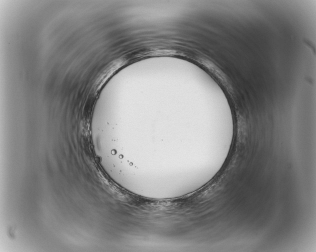 X0000102511193200808291727