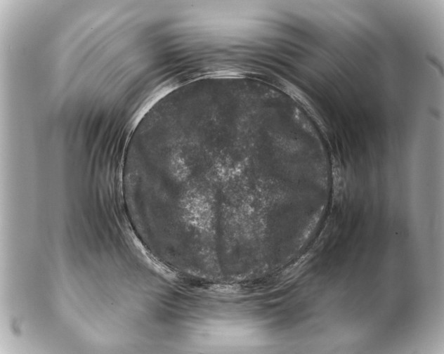 X0000102511194200808291727