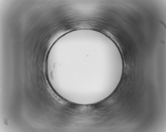 X0000102511195200808291727