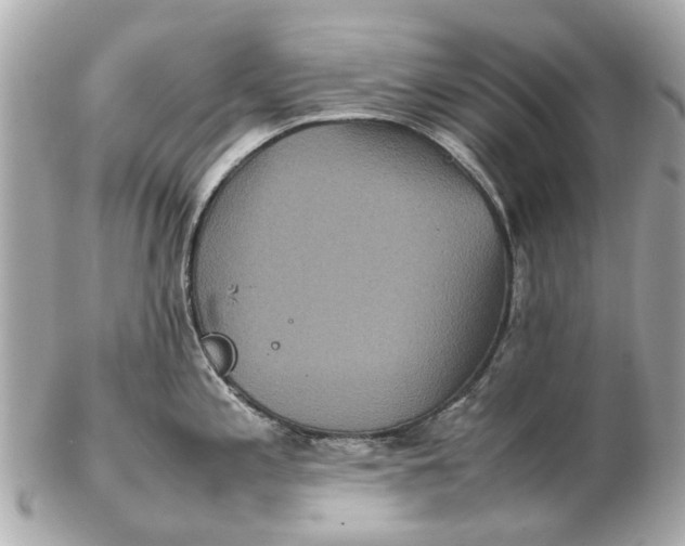 X0000102511197200808291727