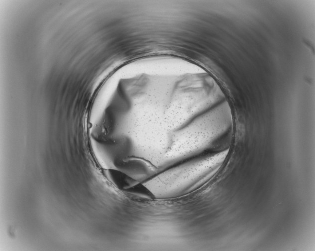 X0000102511198200808291727