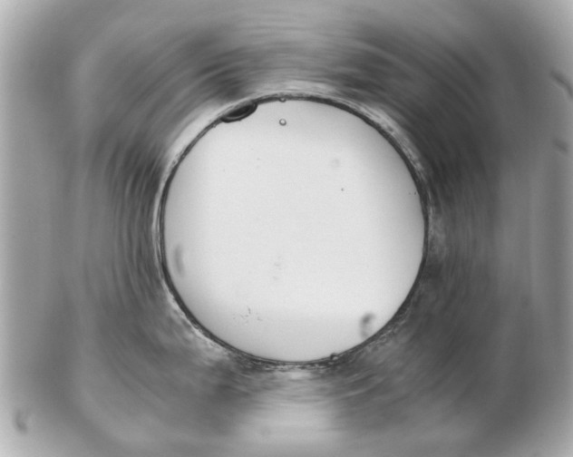 X0000102511199200808291727