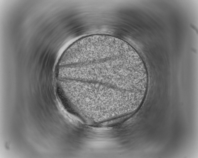 X0000102511200200808291727