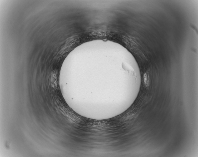 X0000102511203200808291726