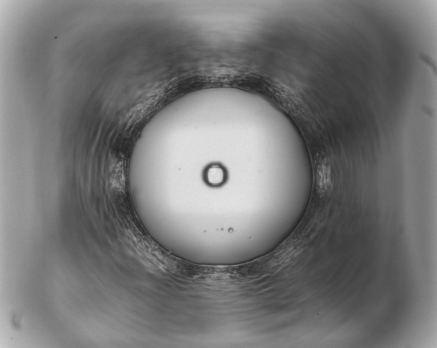 X0000102511204200808291726