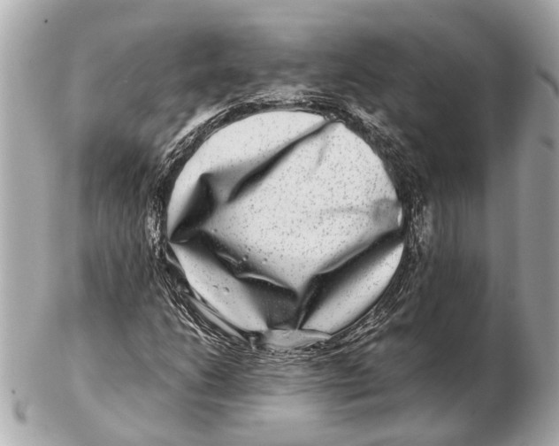 X0000102511206200808291726