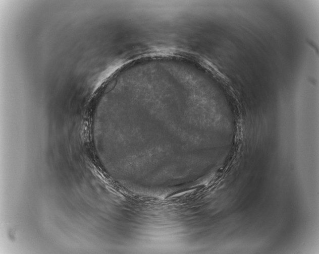 X0000102511208200808291726