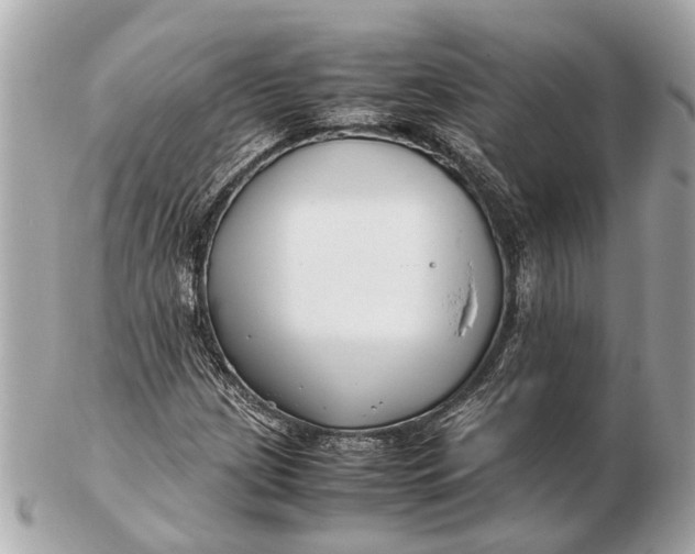 X0000102511209200808291726