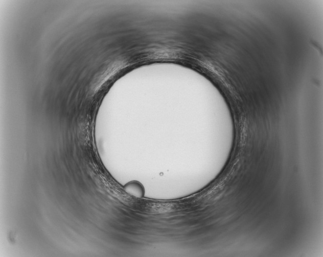 X0000102511211200808291726