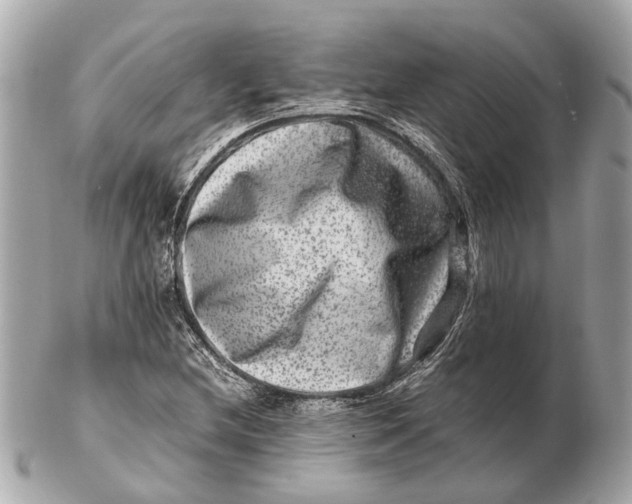 X0000102511212200808291726