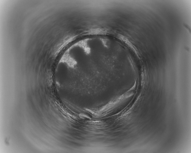 X0000102511213200808291726