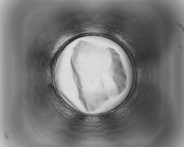 X0000102511215200808291726
