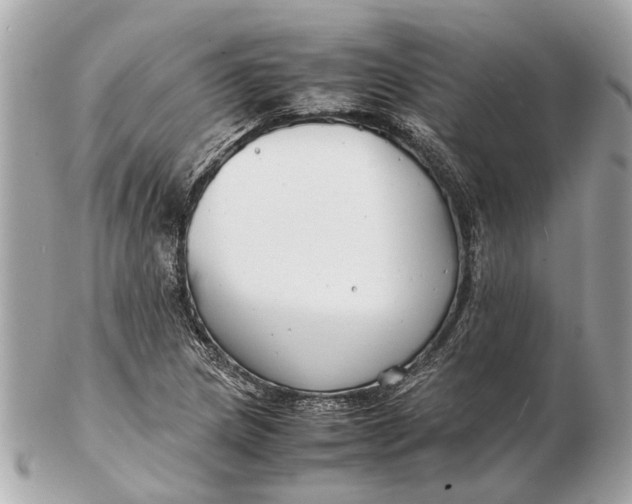 X0000102511217200808291726