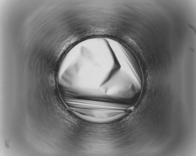 X0000102511218200808291726