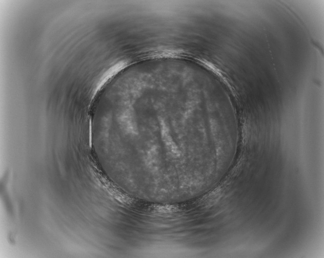 X0000102511219200808291726