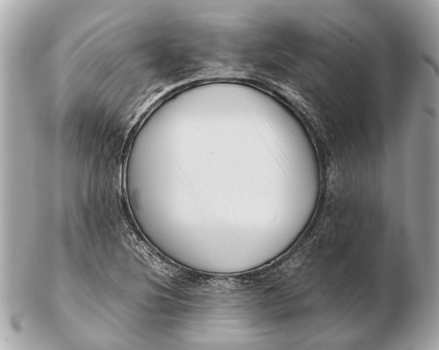 X0000102511220200808291726