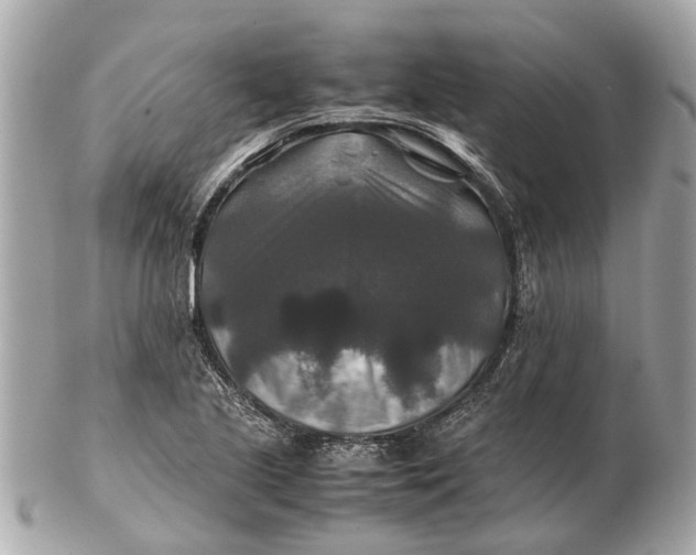 X0000102511221200808291726