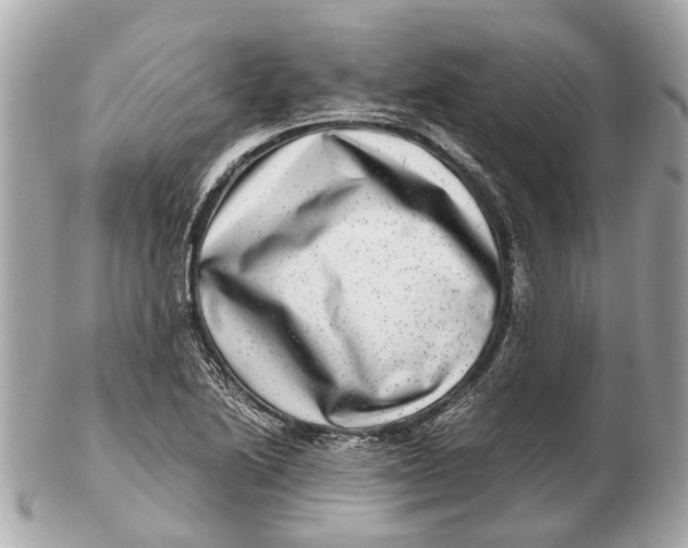 X0000102511222200808291726