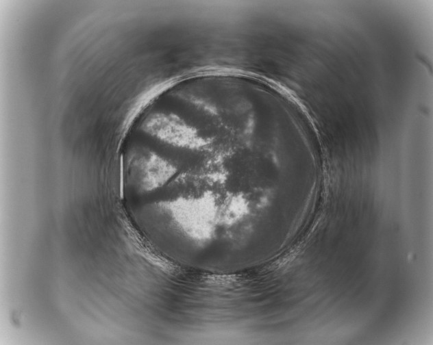 X0000102511223200808291726