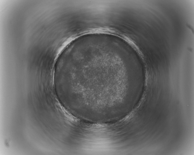 X0000102511224200808291726