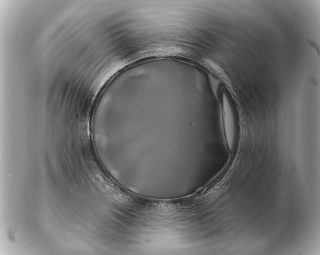X0000102511226200808291726