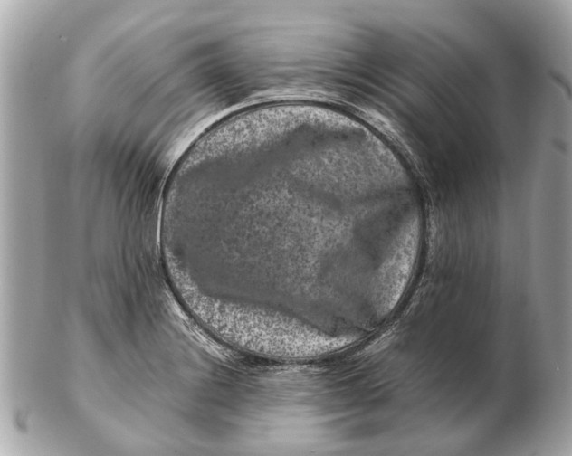 X0000102511228200808291726