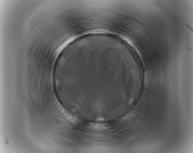 X0000102511229200808291726