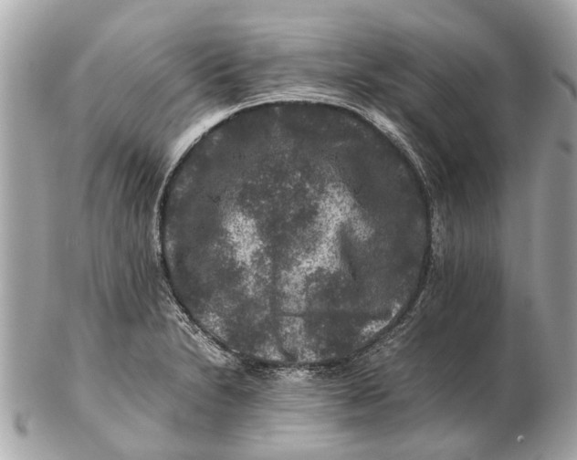 X0000102511230200808291726