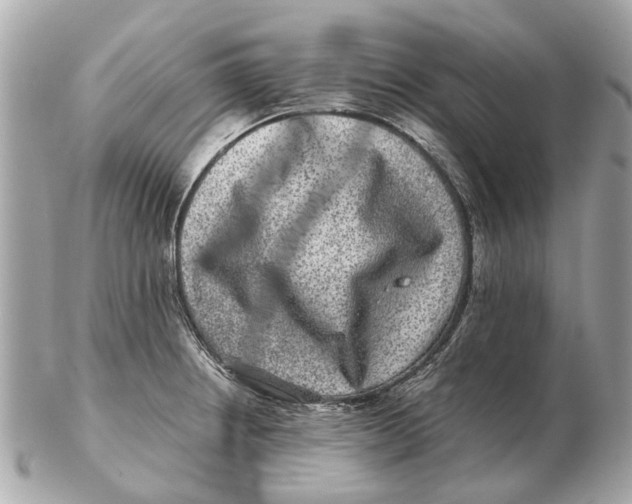 X0000102511234200808291726