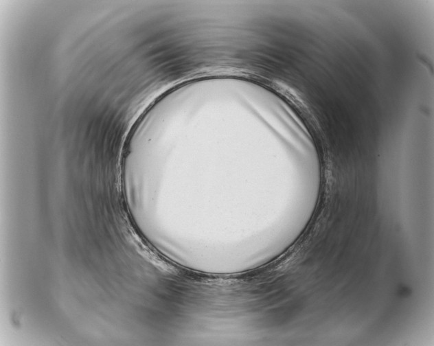X0000102511236200808291726