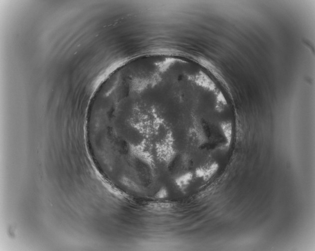 X0000102511237200808291726