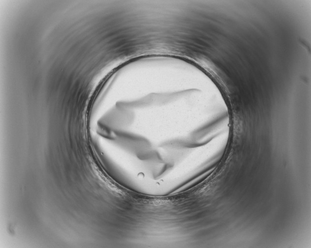 X0000102511238200808291726