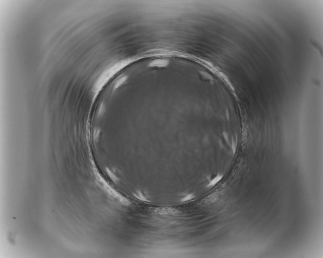 X0000102511239200808291726