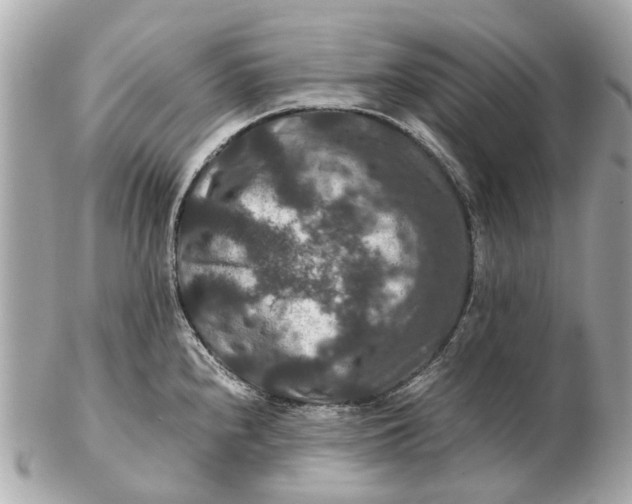 X0000102511240200808291726
