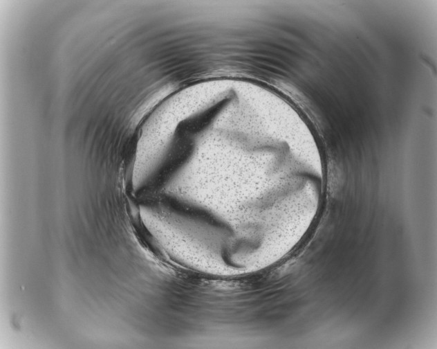 X0000102511241200808291726