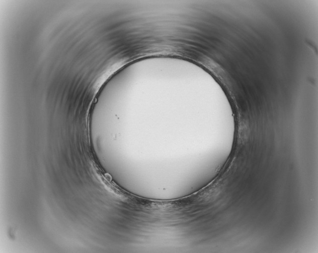 X0000102511242200808291726