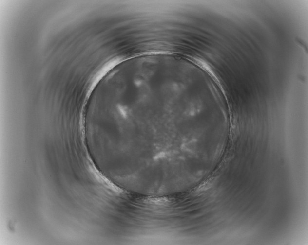 X0000102511243200808291726
