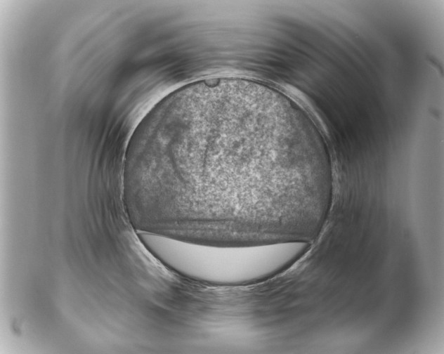 X0000102511244200808291726