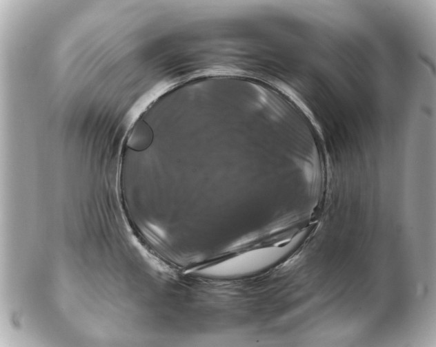 X0000102511245200808291727
