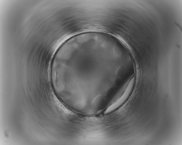 X0000102511246200808291727